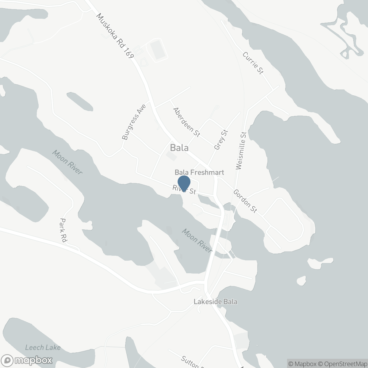1012 MILL STREET, Bala, Ontario P0C 1A0